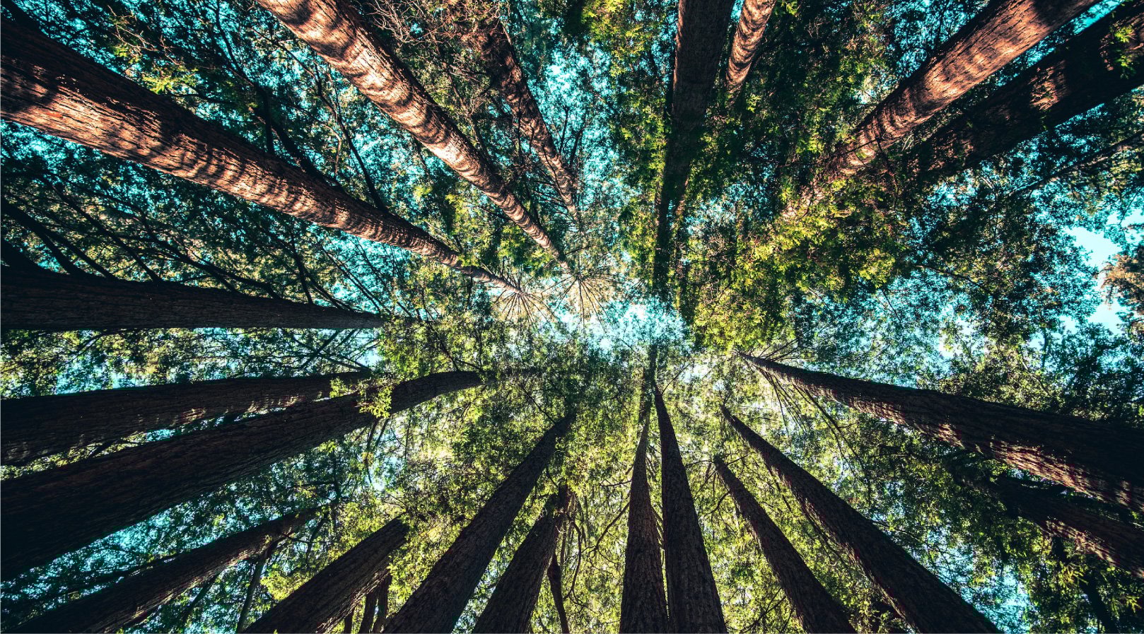 cayro materiales reciclados