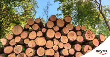 cayro play for change madera reciclada